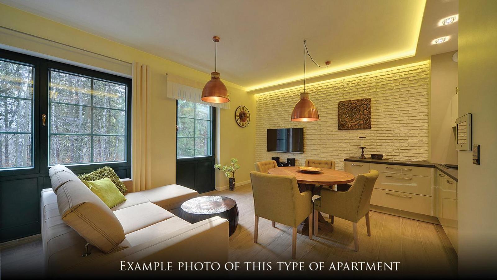 Norweska Dolina Family&Pet-Friendly Resort Шклярска-Поремба Экстерьер фото Example photo of this type of apartment